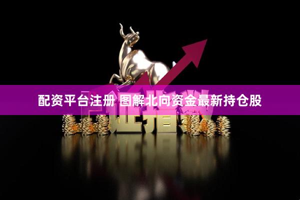 配资平台注册 图解北向资金最新持仓股
